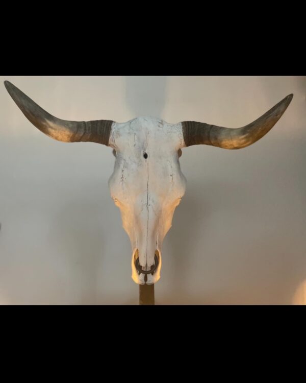 Wandlampe „The Beast“ – Bild 5