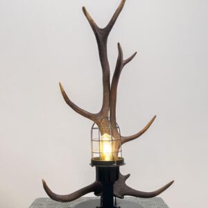 Tischlampe „Enders Light“